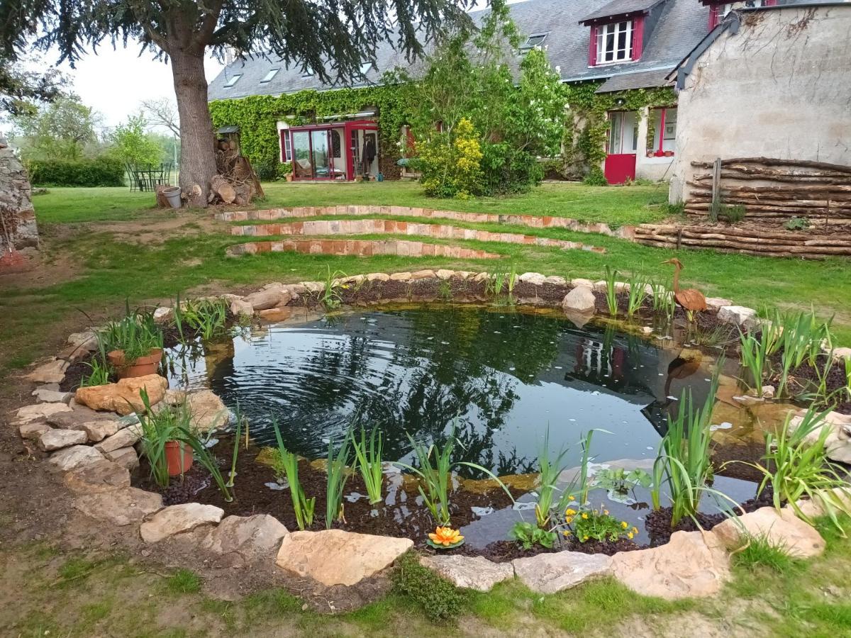 Gite En Bord De Loire Blaison-Saint-Sulpice Exterior foto